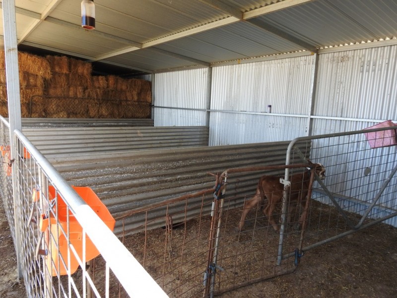 2110 Treeton Road North, Cowaramup WA 6284