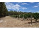 387 Worgan Road, Metricup WA 6280