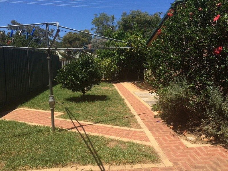 17 Prowse Way, Dunsborough WA 6281