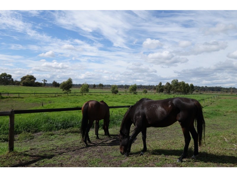 40 Breeze Road, Forrest Beach WA 6271