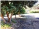 123 Silverwood Road, Metricup WA 6280
