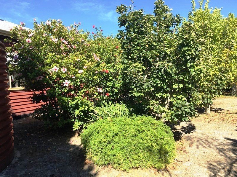 123 Silverwood Road, Metricup WA 6280