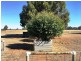 123 Silverwood Road, Metricup WA 6280