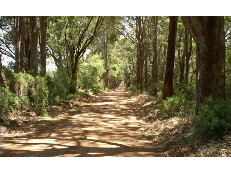 381 Wallis Road, Witchcliffe WA 6286