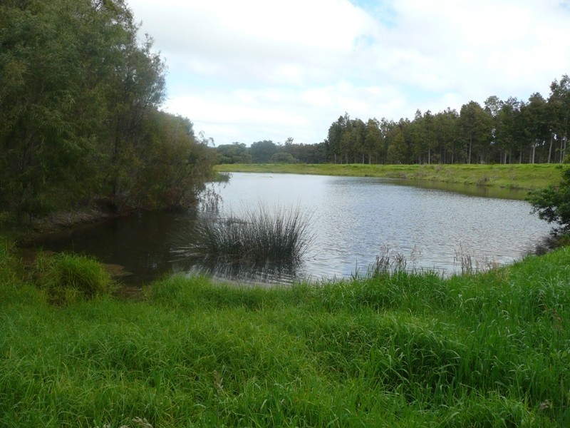 381 Wallis Road, Witchcliffe WA 6286