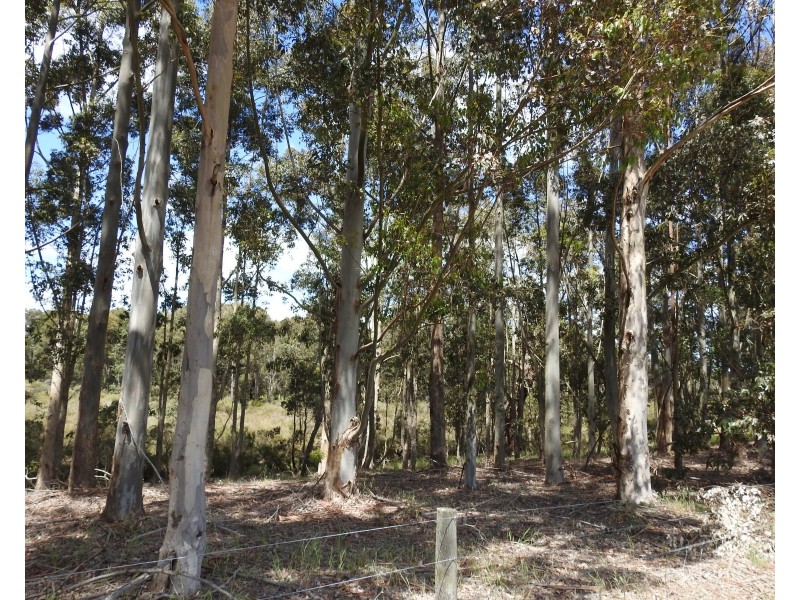 Lot 2278 Bramley River Road, Osmington WA 6285