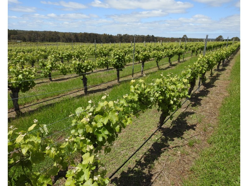 Lot 2278 Bramley River Road, Osmington WA 6285