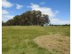 Lot 2278 Bramley River Road, Osmington WA 6285