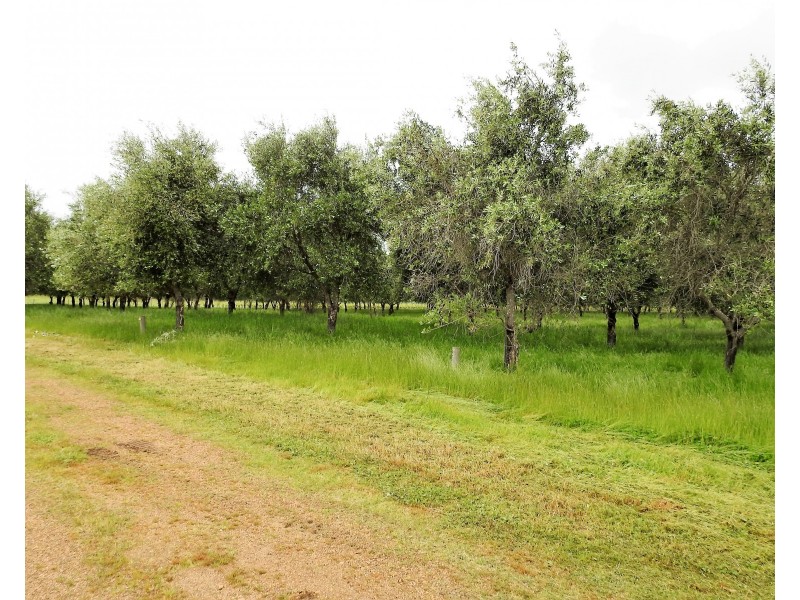 Lot 2278 Bramley River Road, Osmington WA 6285