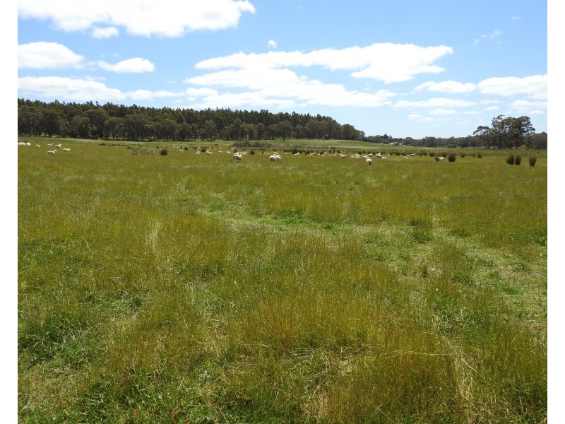 Lot 2278 Bramley River Road, Osmington WA 6285