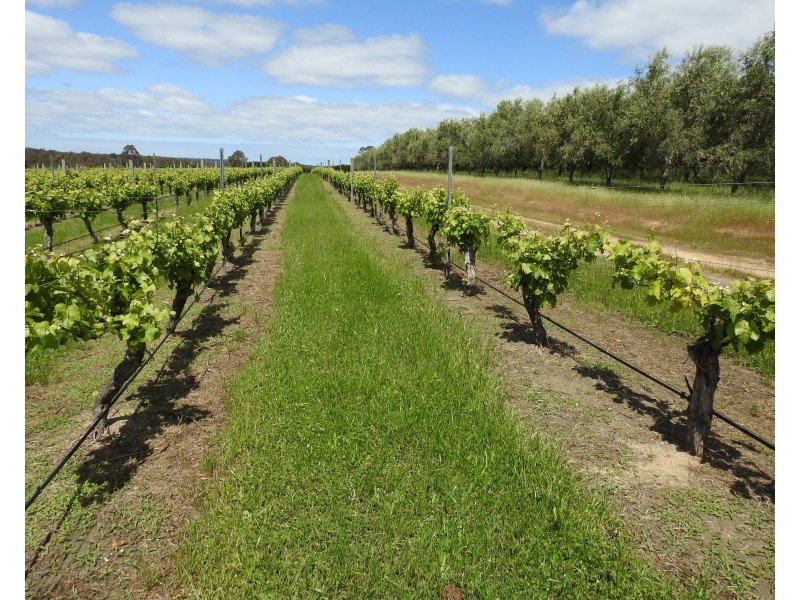 Lot 2278 Bramley River Road, Osmington WA 6285