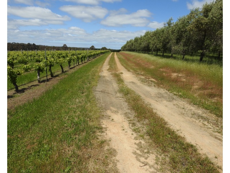 Lot 2278 Bramley River Road, Osmington WA 6285