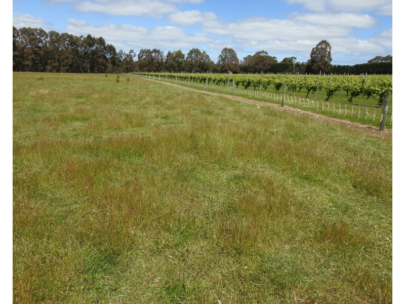 Lot 2278 Bramley River Road, Osmington WA 6285