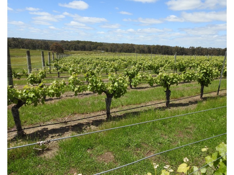 Lot 2278 Bramley River Road, Osmington WA 6285