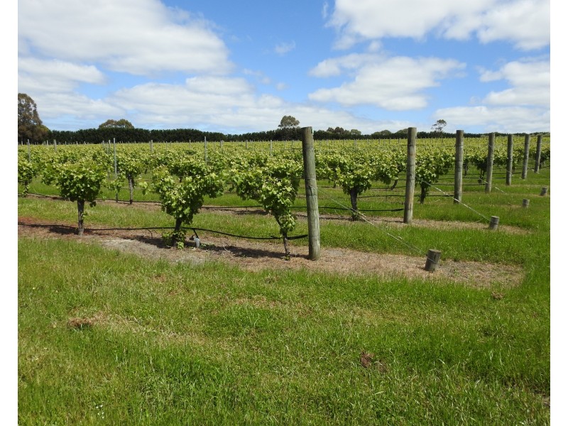 Lot 2278 Bramley River Road, Osmington WA 6285