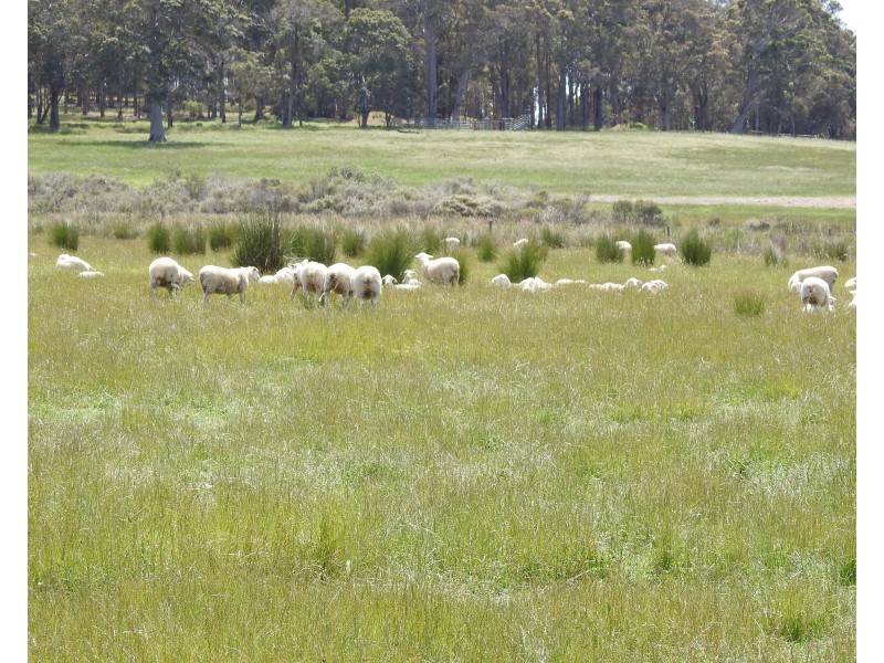 Lot 2278 Bramley River Road, Osmington WA 6285