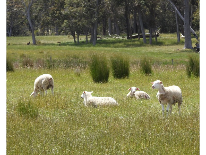 Lot 2278 Bramley River Road, Osmington WA 6285