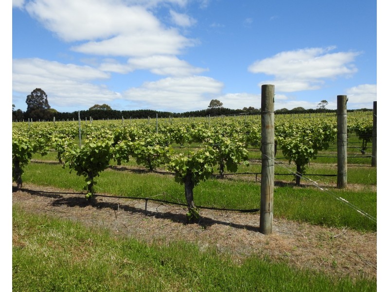 Lot 2278 Bramley River Road, Osmington WA 6285