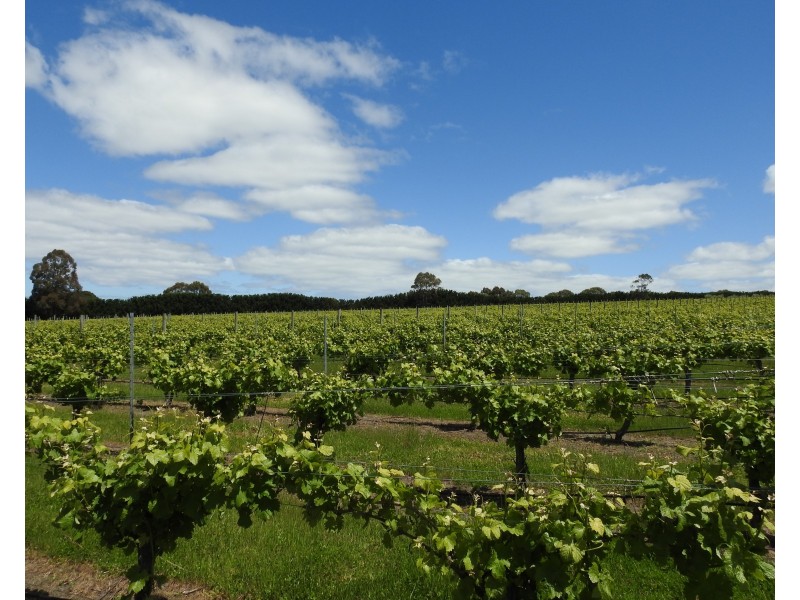 Lot 2278 Bramley River Road, Osmington WA 6285