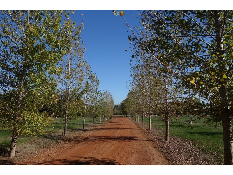 33 Broadhurst Road, Metricup WA 6280