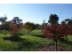 33 Broadhurst Road, Metricup WA 6280