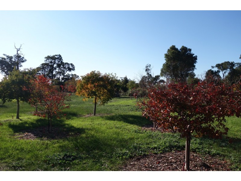 33 Broadhurst Road, Metricup WA 6280