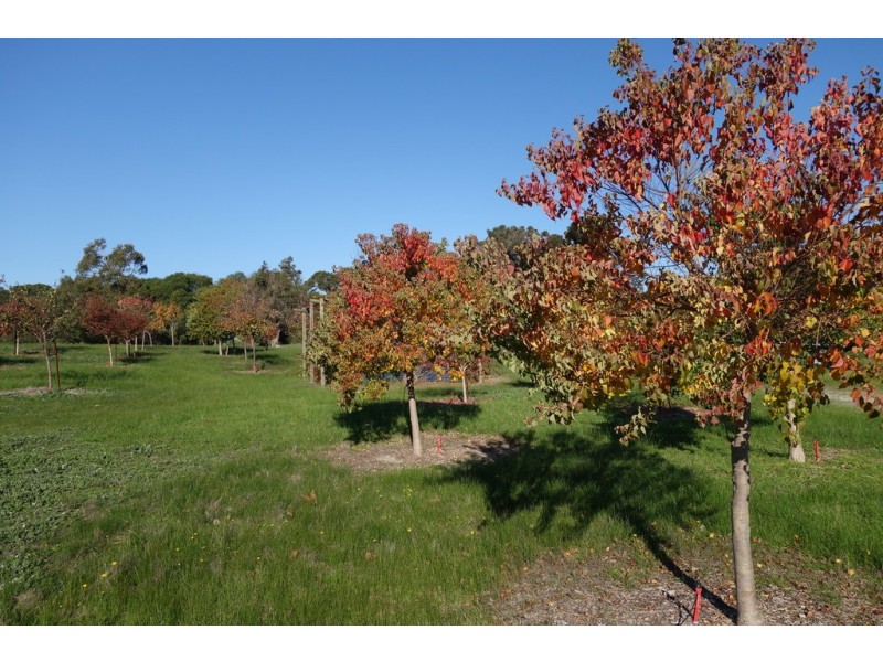 33 Broadhurst Road, Metricup WA 6280