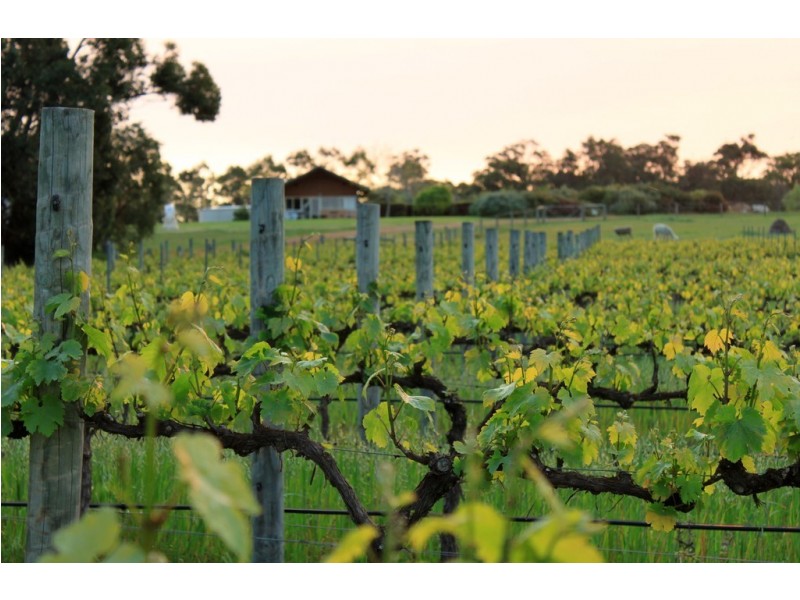 687 Ellen Brook Road, Cowaramup WA 6284