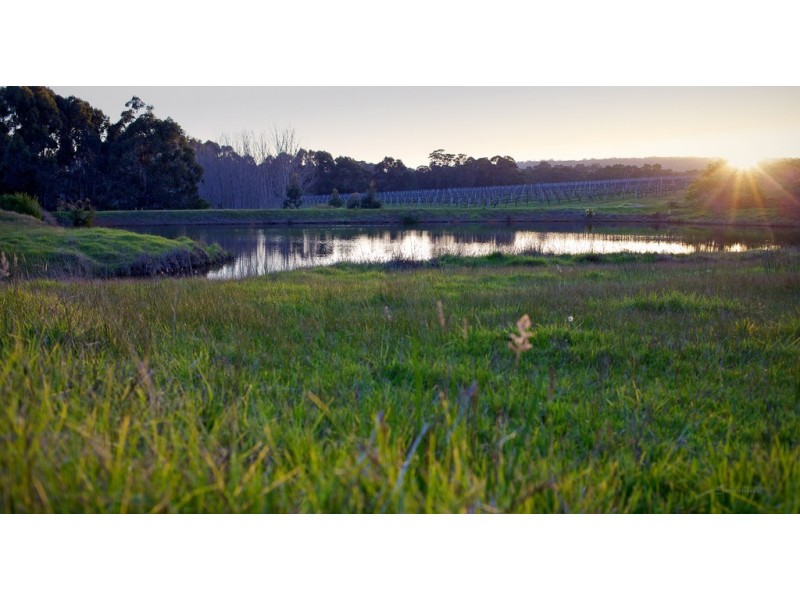 687 Ellen Brook Road, Cowaramup WA 6284