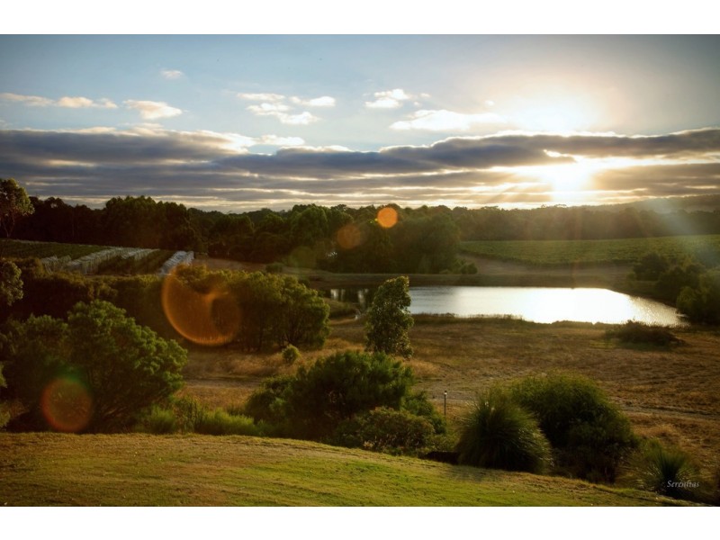 687 Ellen Brook Road, Cowaramup WA 6284