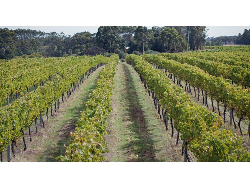 687 Ellen Brook Road, Cowaramup WA 6284