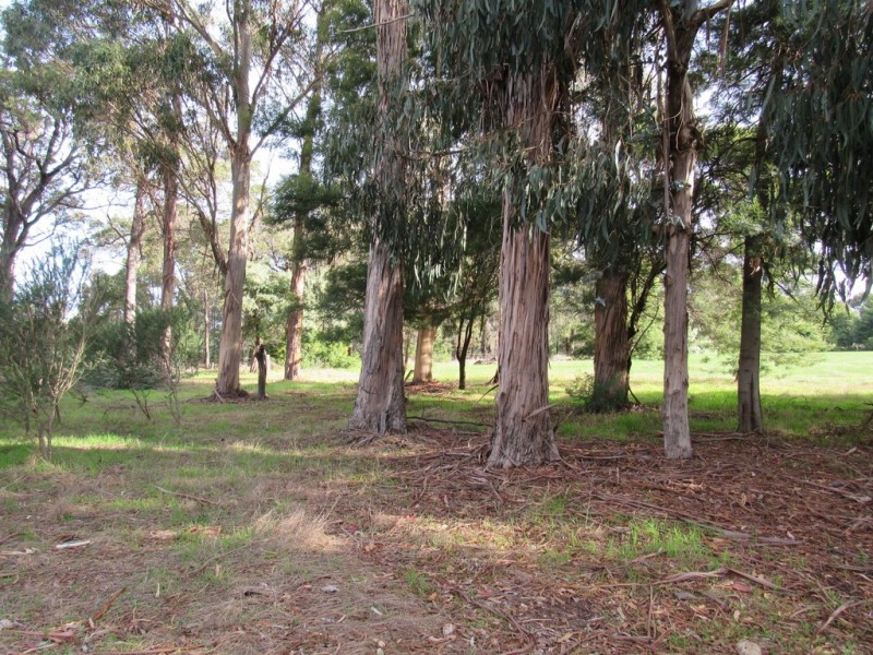 85 Payne Road, North Jindong WA 6280