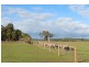 439 Chambers Road, Carbunup River WA 6280
