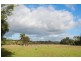 439 Chambers Road, Carbunup River WA 6280