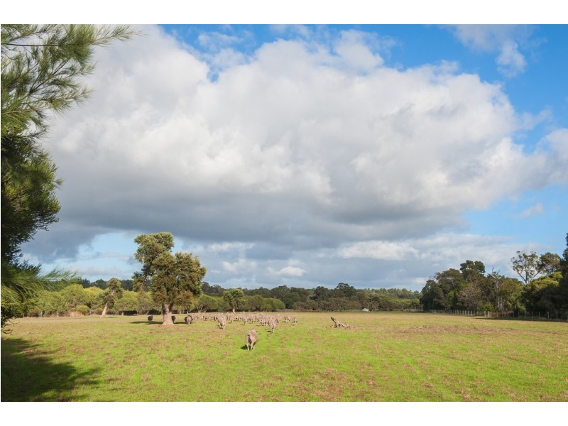 439 Chambers Road, Carbunup River WA 6280