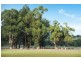 439 Chambers Road, Carbunup River WA 6280