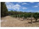 387 Worgan Road, Metricup WA 6280