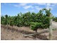387 Worgan Road, Metricup WA 6280