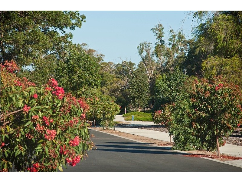 13 Daly Rd, Yalyalup WA 6280