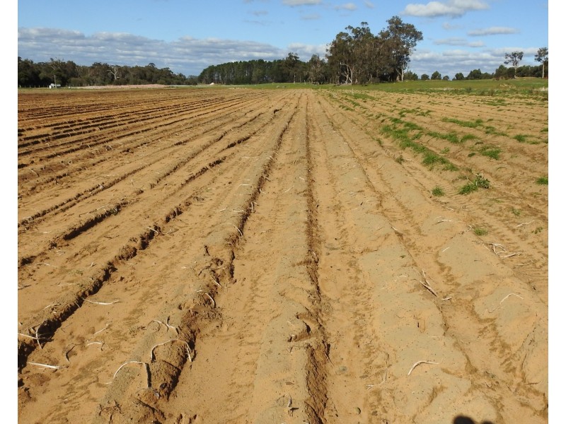 70 & 71 Payne, Kaloorup WA 6280