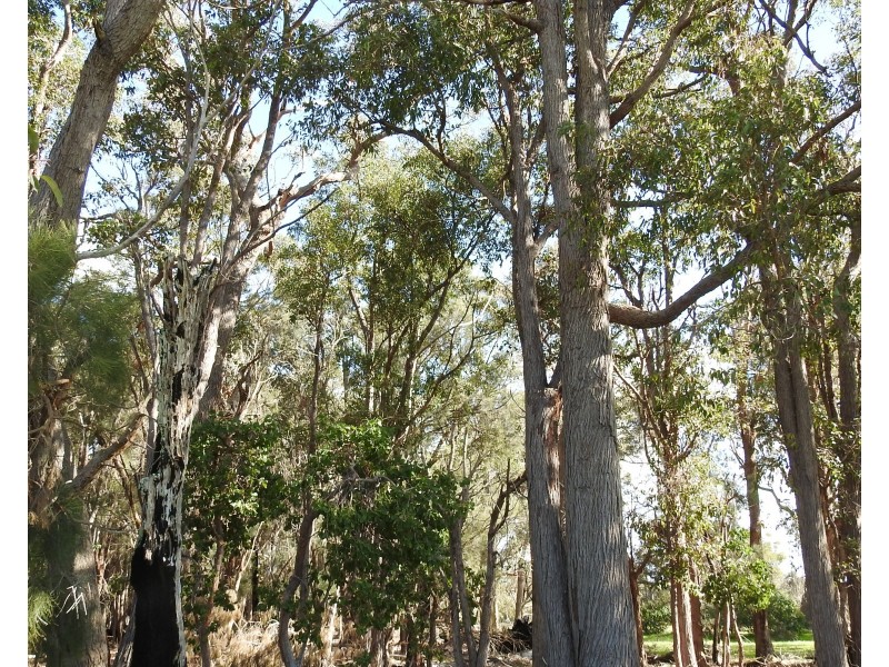 70 & 71 Payne, Kaloorup WA 6280