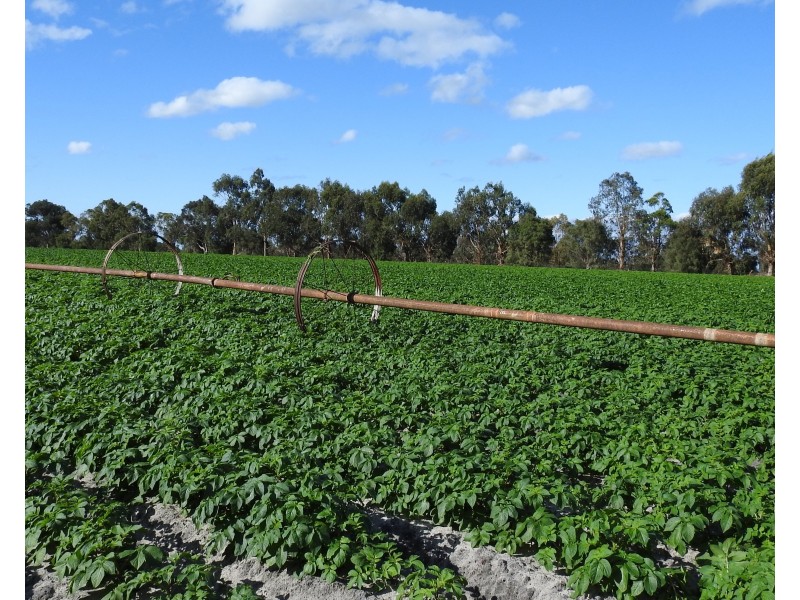 70 & 71 Payne, Kaloorup WA 6280