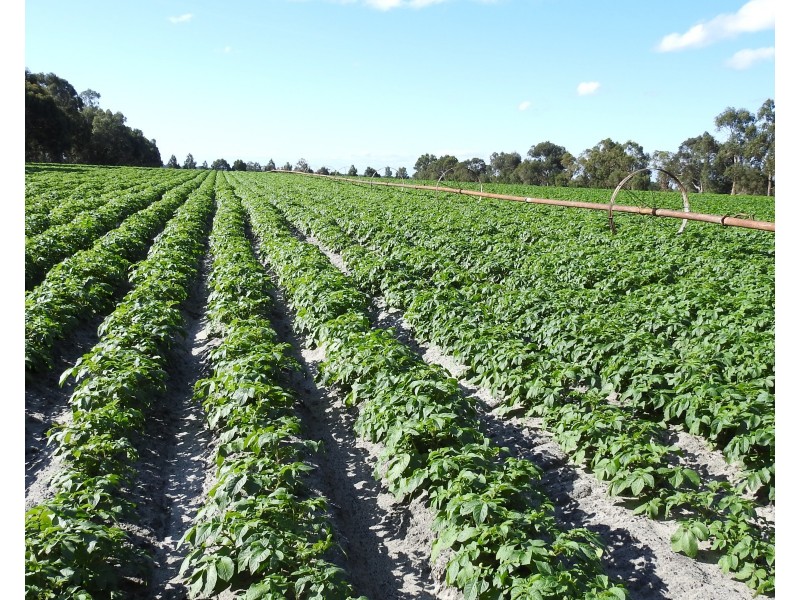 70 & 71 Payne, Kaloorup WA 6280