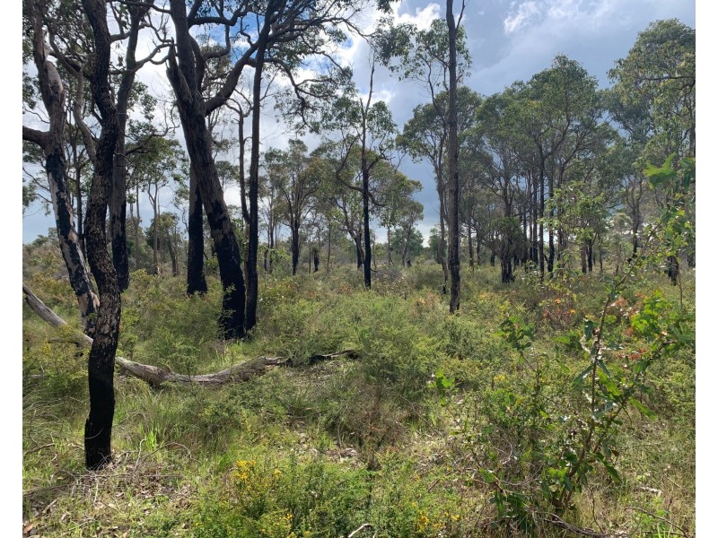 540 Jindong-Treeton Road, Kaloorup WA 6280