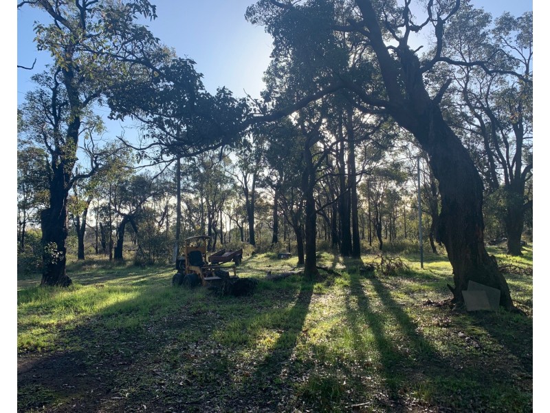 540 Jindong-Treeton Road, Kaloorup WA 6280