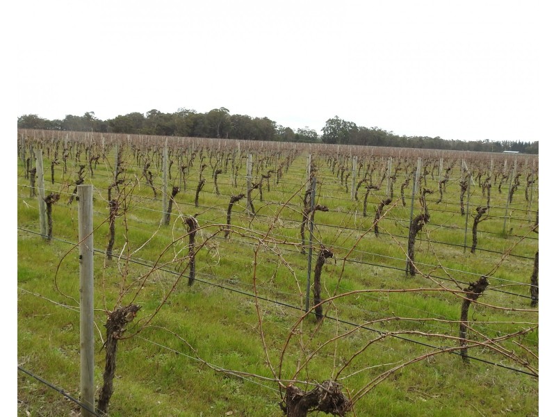 Lot 201/90 Cowaramup Bay Road, Cowaramup WA 6284