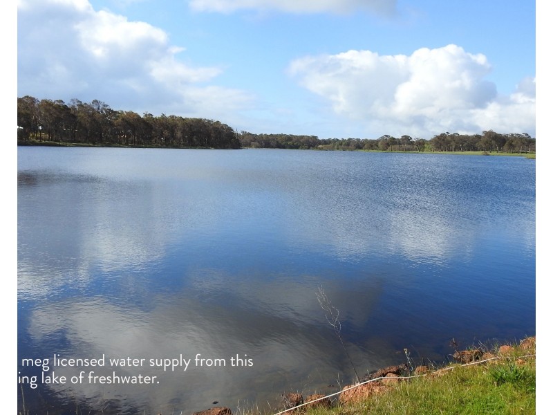 Lot 201/90 Cowaramup Bay Road, Cowaramup WA 6284