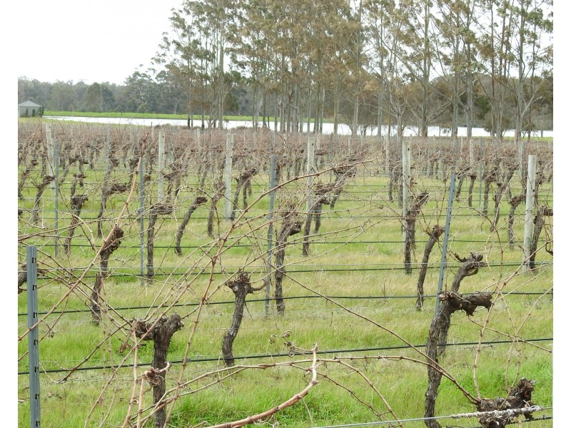 Lot 201/90 Cowaramup Bay Road, Cowaramup WA 6284