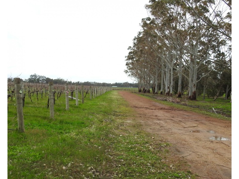 Lot 201/90 Cowaramup Bay Road, Cowaramup WA 6284