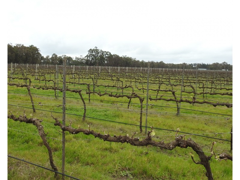 Lot 201/90 Cowaramup Bay Road, Cowaramup WA 6284